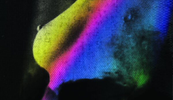 BLACK METAL ZAC: BLACKENED, PT. 3